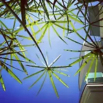 Apartman Residenza Flores