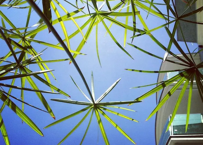 公寓 Residenza Flores